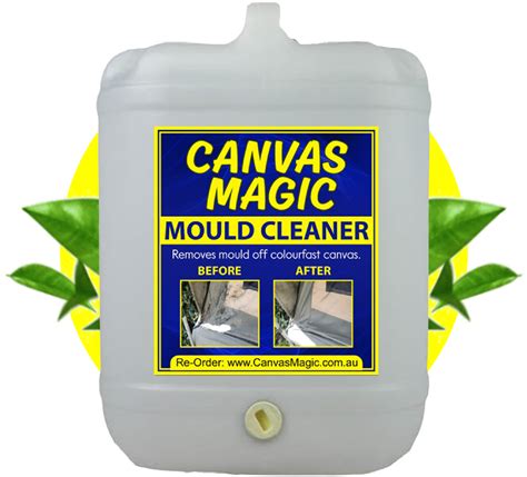 Get Rid of Mold Once and for All: The Magic Mold Remover Challenge